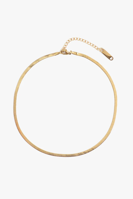 MC Ramsey Choker 3mm Gold